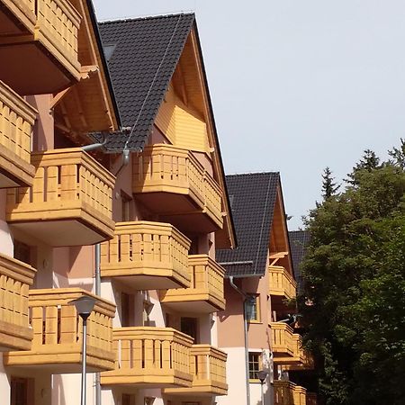 Apartament Podgorze 21 Apartment Szklarska Poreba Luaran gambar